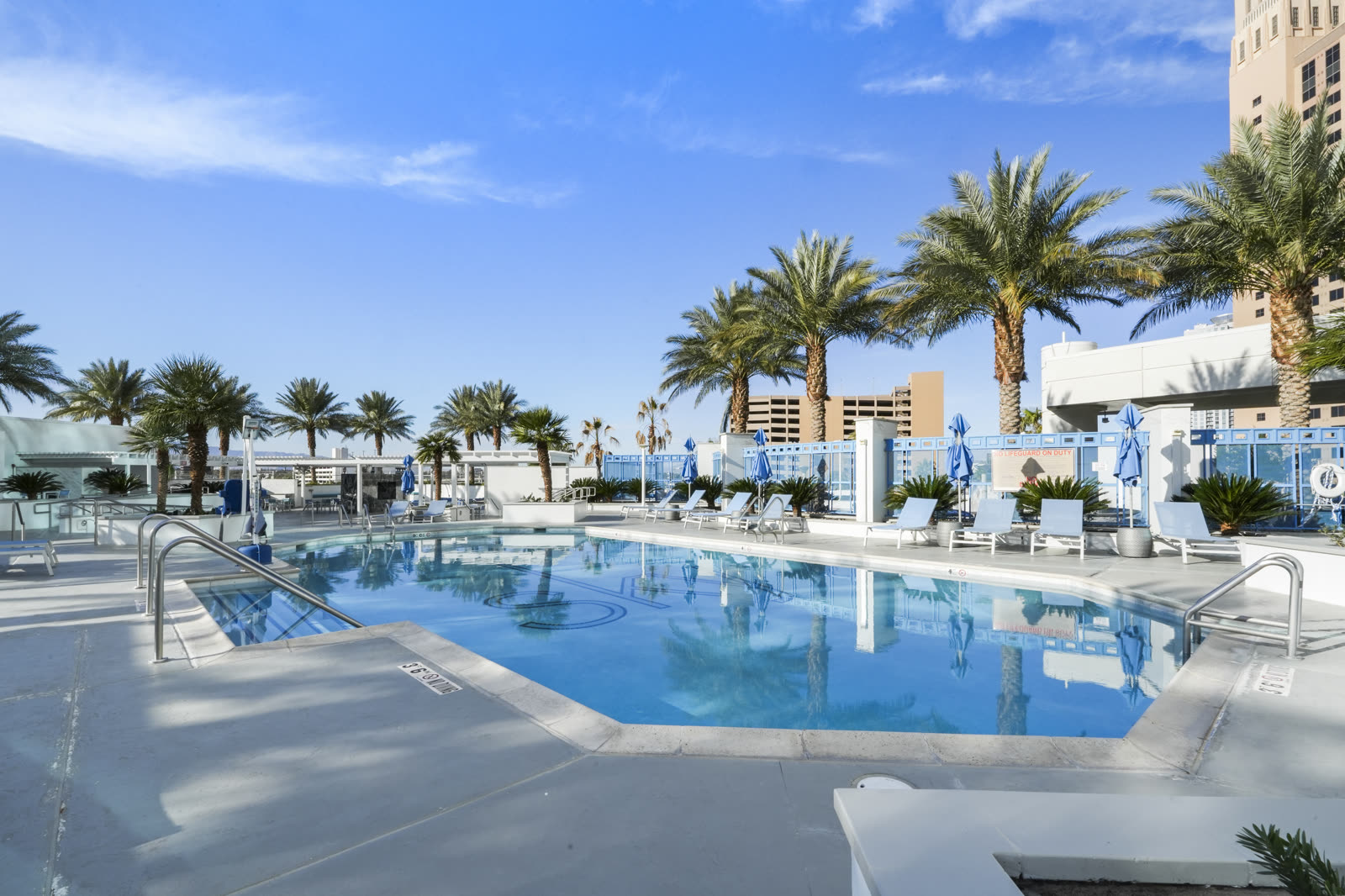Rooftop pool deck with palm trees